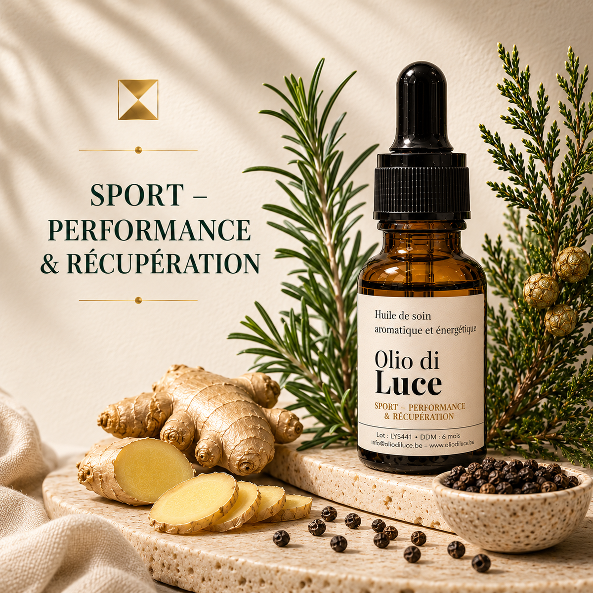 🏋️‍♂️ Sport – Performance & Récupération