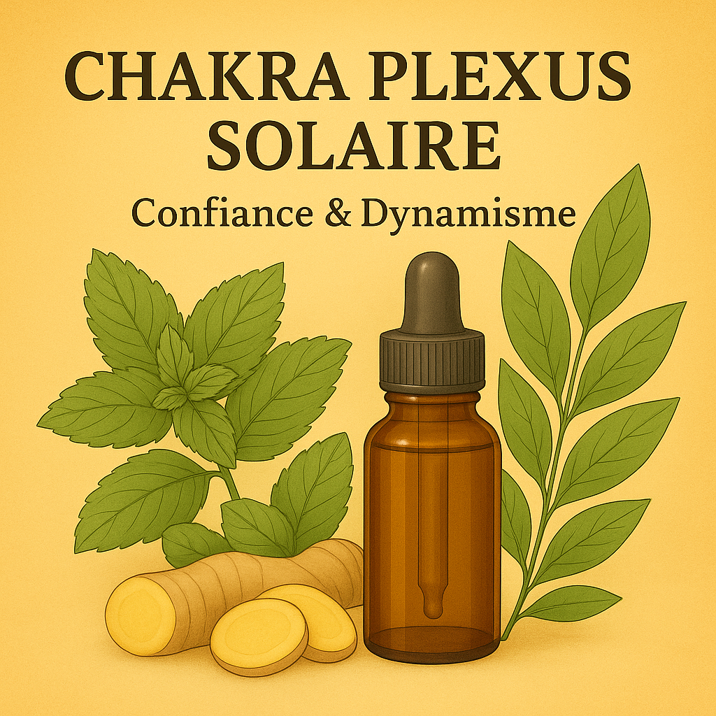 Chakra Plexus Solaire : Problèmes digestifs, fatigue nerveuse - Manque de confiance en soi, stress chronique.