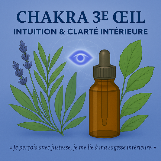 Chakra Troisième Œil : Maux de tête chroniques, insomnies - Confusion mentale, manque d’intuition.