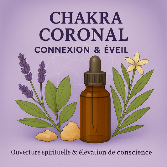 Chakra Couronne : Migraines, troubles nerveux - Dépression spirituelle, sentiment d’isolement.